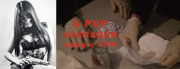 гашик Алексеевка