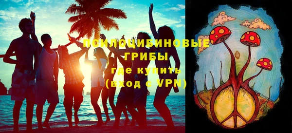 гашик Алексеевка